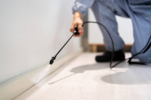 Licensed Pest Control service in Brownlee Park, MI - Show Me Pest Control