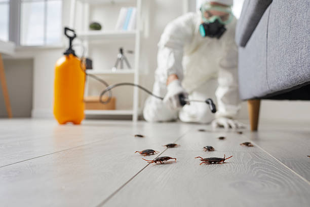 Commercial Kitchen Cockroach Control in Brownlee Park